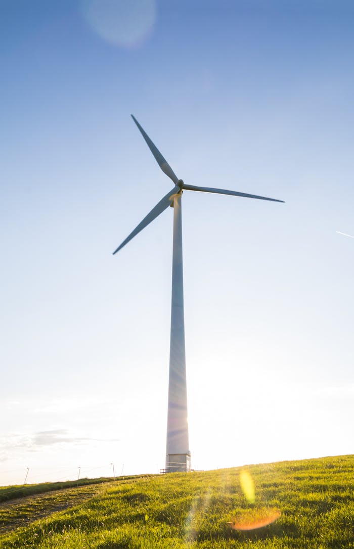 services-05 A wind turbine on a grassy hill with a clear blue sky symbolizes renewable energy.